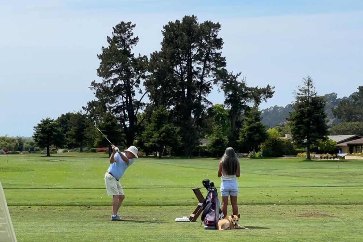Driving%20range%20at%20golf%20course%2E%20Dog%20relaxing%20while%20owner%20practices%20his%20million%20dollar%20swing%2E