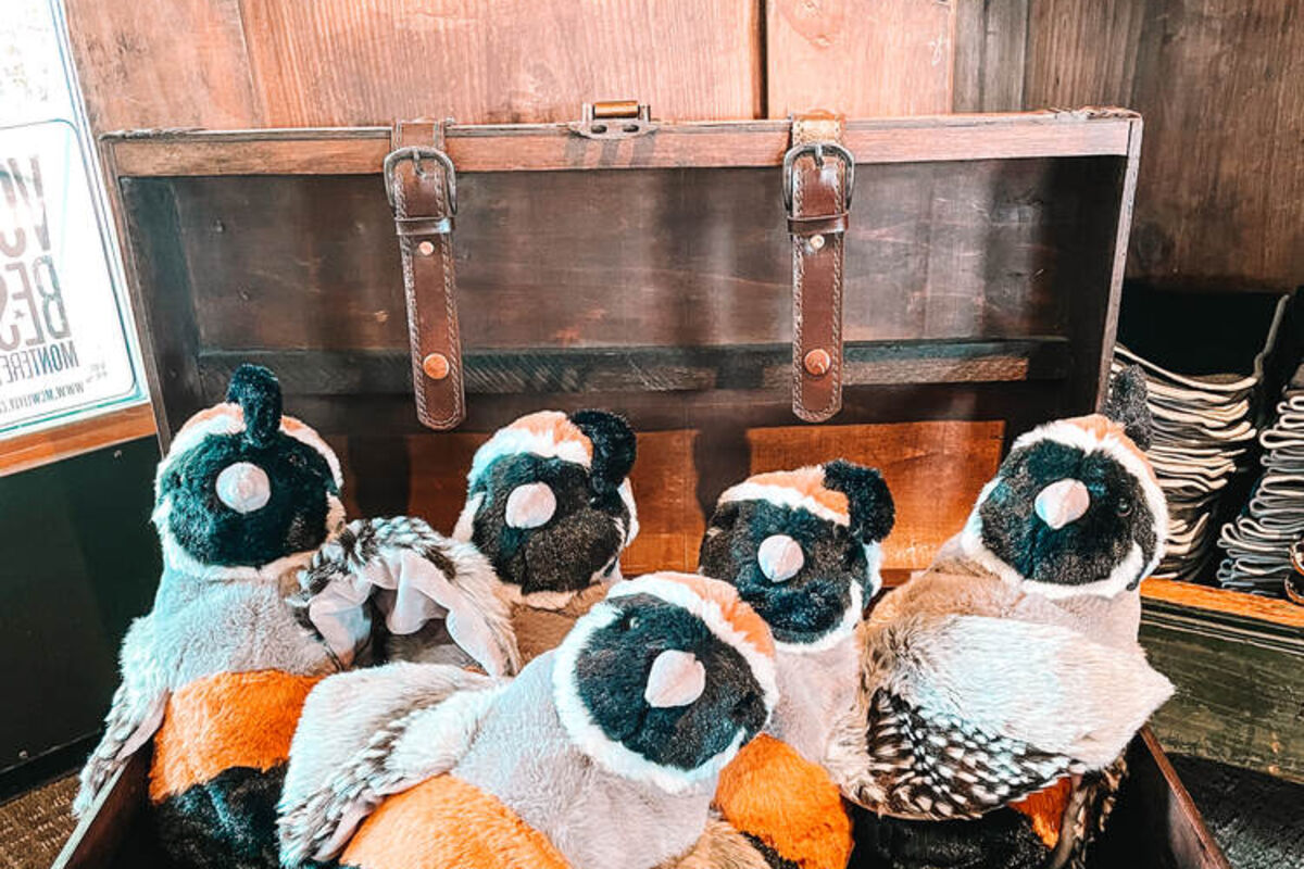 Quail%20bird%20stuffed%20animals%20at%20the%20Quail%20Lodge%20gift%20shop%2E