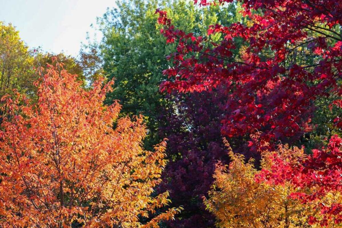 One%20of%20the%20best%20fall%20foliage%20spots%20to%20see%20autumn