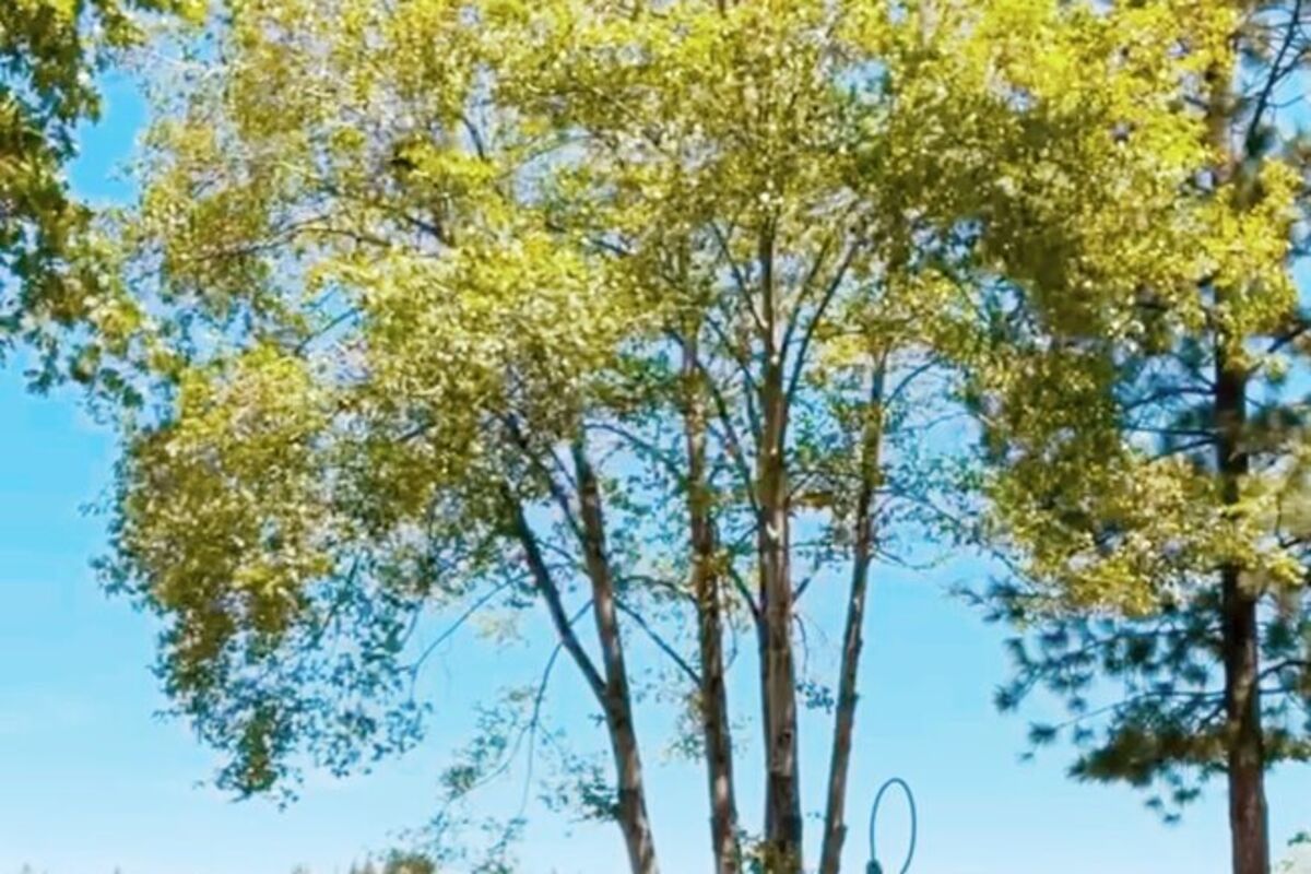 Couple%20enjoying%20a%20hug%20with%20trees%20and%20lake%20view%20in%20front%20of%20them%2E