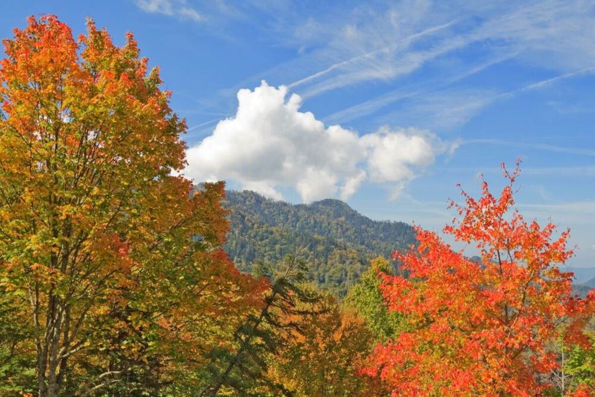 One%20of%20the%20best%20fall%20foliage%20spots%20to%20see%20autumn