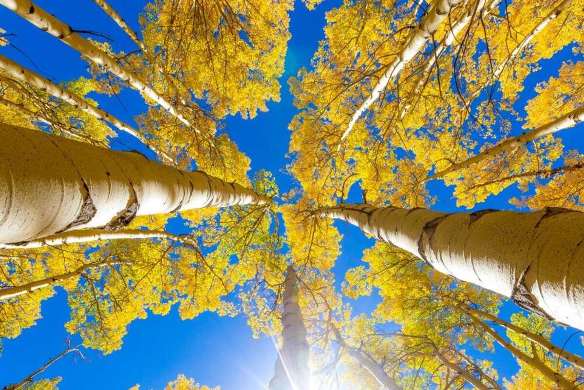 One%20of%20the%20best%20fall%20foliage%20spots%20to%20see%20autumn
